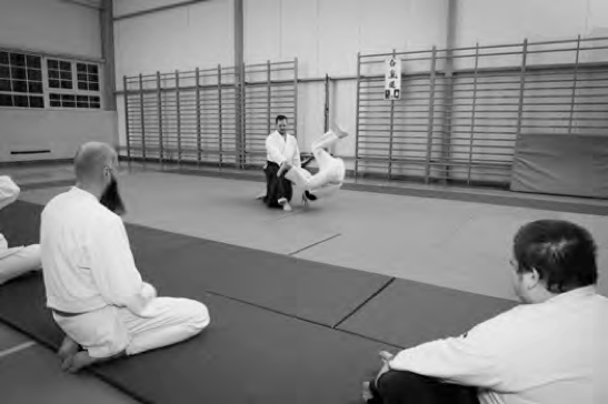 treningi dla dzieci, młodzieży i dorosłych Aikido Warszawskie centrum Aikido Warszawa